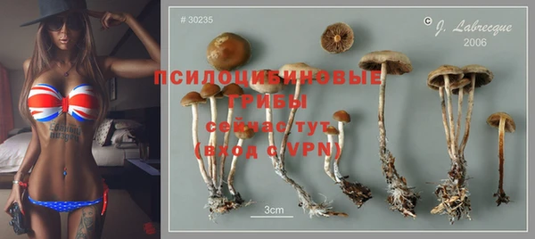 ALPHA PVP Верхний Тагил