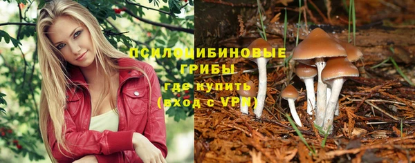 ALPHA PVP Верхний Тагил