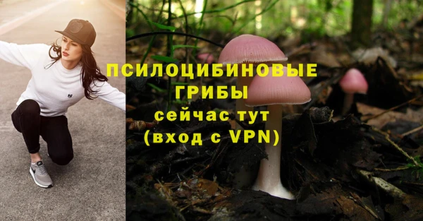 мескалин Володарск