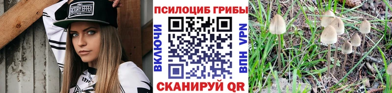 Псилоцибиновые грибы мицелий  Калининск 